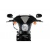 Batwing SML - Harley Davidson - Sportster Iron XL883N