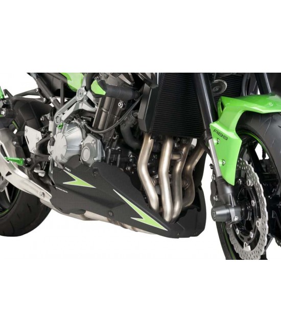 Engine Spoilers - Kawasaki - Z900