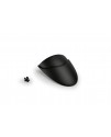 Front fender extension - Triumph - THRUXTON 1200