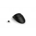 Front fender extension - Triumph - THRUXTON 1200