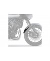 Front fender extension - Kawasaki - Z900RS