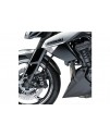 Front fender extension - Kawasaki - Z1000