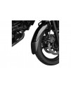 Front fender extension - Triumph