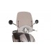 Windshield T.S. - Piaggio - 5850