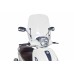 Windshield T.S. - Piaggio - 6265