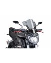 Windshield Rafale