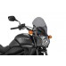 Windshield Naked New Generation Sport - Honda - CTX700N - 7009